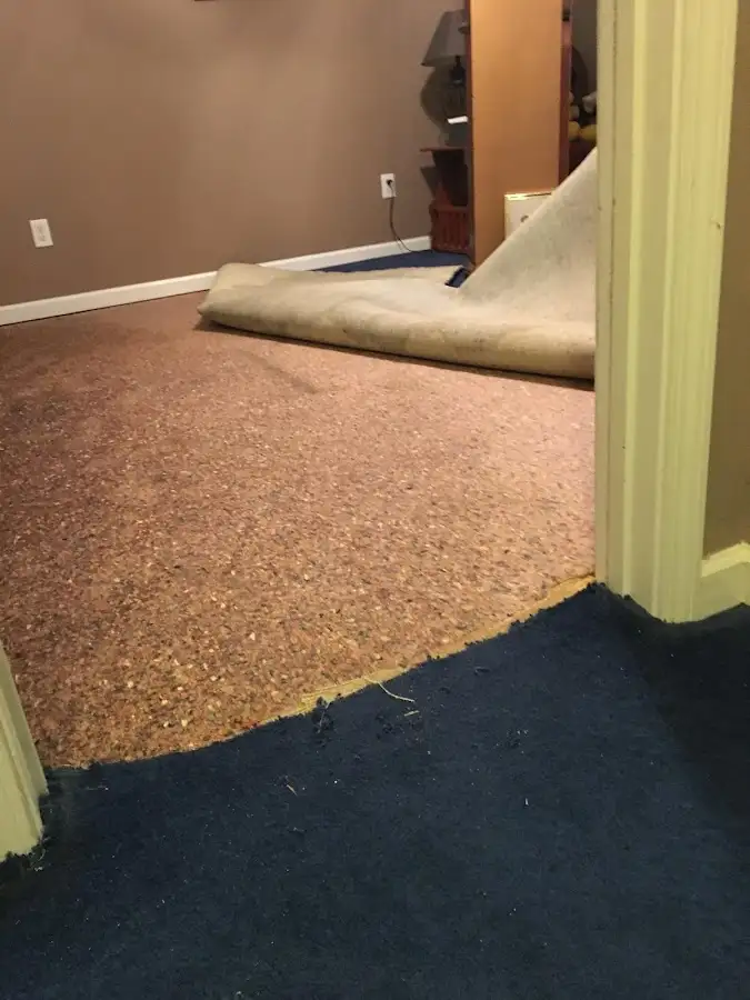 Carpet pad removal revealing water damage during Water Mitigation Services in Fuquay